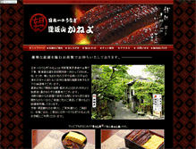 Tablet Screenshot of kaneyo.in